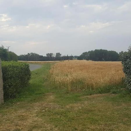 Gite 3 Places Au Coeur Du Tregor Langoat Eksteriør bilde